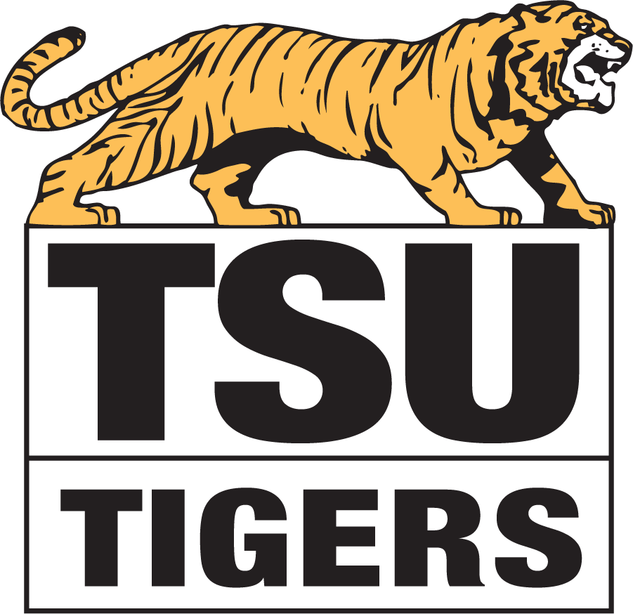Towson Tigers 1979-1985 Primary Logo diy iron on heat transfer